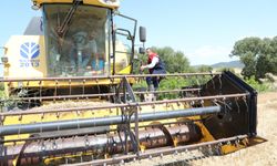 Uşak İl Tarım ve Orman Müdürü Serkan Bilir, Sirge köyünde üreticilerle buluştu