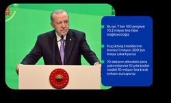 Cumhurbaşkanı Erdoğan'dan tarım sektörüne müjde