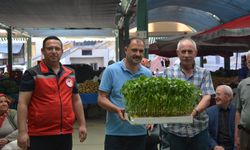 Demirci'de çiftçilere ücretsiz fide dağıtıldı