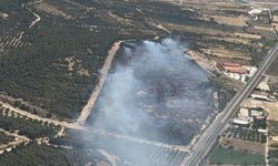 Aliağa'da çıkan orman yangınına müdahale ediliyor