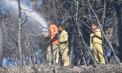 İzmir'in Kemalpaşa ilçesinde çıkan orman yangını söndürüldü