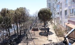 İzmir'de iki bölgede çıkan yangın söndürüldü