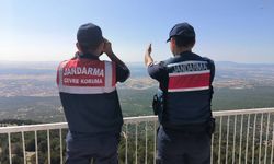 Jandarma, Uşak'taki kulelerden sürekli ormanı izliyor