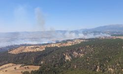 Gediz'deki orman yangını kontrol altına alındı