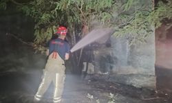 Ödemiş'te otluk alana sıçrayan yangın söndürüldü