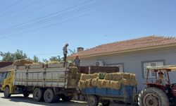 Aydınlı besiciler İzmir'de yangından etkilenen meslektaşlarına yem desteği yaptı