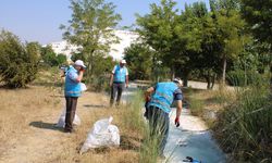 Hükümlüler, Pamukkale'deki travertenleri temizledi