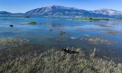 Uşak'ın komşusu Çivril'de belediyeye 7 memur alınacak!