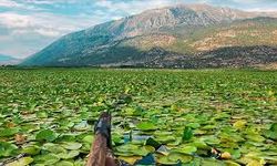 Denizli Işıklı Gölü'nde tur teknesi yandı, 4 kişi yaralandı!