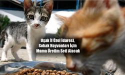 Uşak İl Özel İdaresi, Sokak Hayvanları İçin Mama Üretim Seti Alacak