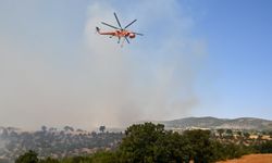 Uşak'ın Sivaslı ilçesindeki yangın kontrol altına alındı
