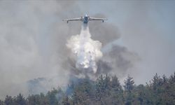 Uşak ve diğer illerde toplam 84 orman yangınına müdahale edildi