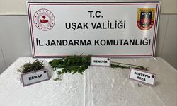 Uşak'ın Banaz ilçesinde uyuşturucu nedeniyle bir kişi yakalandı