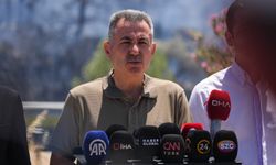 İzmir Valisi Elban yangınlara ilişkin açıklama yapıtı