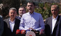 Bakan Kurum'dan orman yangınlarındaki hasar tespit çalışmalarıyla ilgili açıklama: