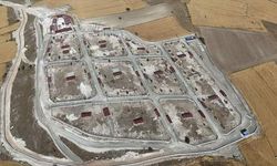Kütahya'ya 10 bin sahipsiz hayvan kapasiteli merkez yapıldı
