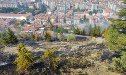 Afyonkarahisar'da ağaçlık alandaki yangın kısa sürede söndürüldü