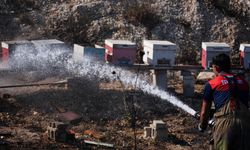 İzmir'de otluk alanda çıkan yangın kontrol altına alındı