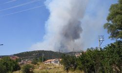 Eskişehir'de çıkan yangına ilişkin Afyonkarahisar'da bir köy boşaltıldı