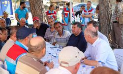 İzmir'de yangının oluşturduğu hasar tespiti yapıldı