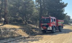 Valilik açıkladı Afyonkarahisar'daki yangın büyük oranda kontrol altına alındı!