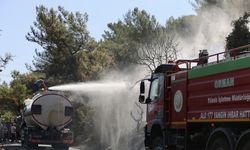 Muğla'daki orman yangını kontrol altına alındı