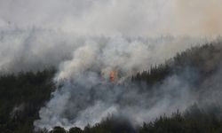Gelibolu ve Eceabat'taki yangınlara müdahale ediliyor