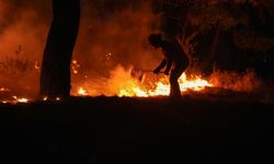 İzmir'de otlukta başlayan ormana sıçrayan yangın kontrol altına alındı