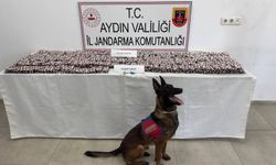Aydın'da yasaklı maddeden 3 kişi tutuklandı