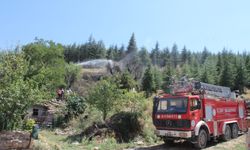 Afyonkarahisar'daki yangın büyümeden söndürüldü