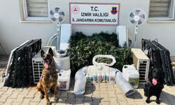 İzmir'de zehir taciri yakalandı!