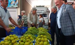 AK Parti Denizli milletvekilleri Kale ilçesine ziyarette bulundu