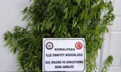 İzmir'de bahçesinde Hint keneviri yetiştiren şüpheli yakalandı