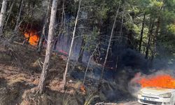 Muğla'da otomobilden ormana sıçrayan yangın söndürüldü