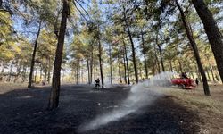 Fethiye'de başlayan yangın büyümeden söndürüldü