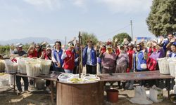 Manisa'da gençler üzüm bağında gönüllü hasat yaptı