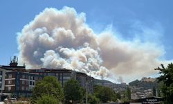 Manisa Soma'da orman yangını !