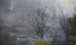Manisa'da tarladan makilik alana geçen yangın kontrol altına alındı