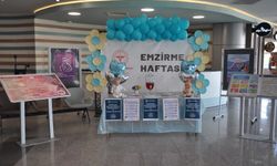 Kütahya'da "Dünya Emzirme Haftası" için etkinlik düzenlendi