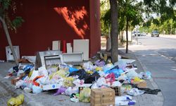 İzmir'de toplanmayan çöpler hastalığa davetiye çıkartıyor !