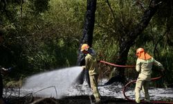 Fethiye'deki orman yangınına hızlı müdahale !