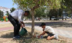 Mahallesindeki parkta ağaçları sulayan avukattan belediye yetkilileri hakkında suç duyurusu