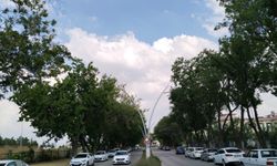 Yağmurun yağmadığı Uşak'ta susuzlukla imtihana devam