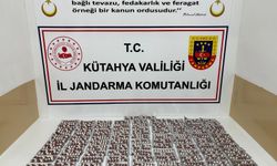 Kütahya'da yasaklı madde operasyonu, 2 zanlı tutuklu!