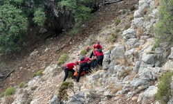 Avustralyalı turist tarihi Likya Yolu'nda ölü bulundu