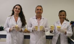 Plastik kullanımını azaltmak için portakal kabuğundan yapılan ambalaj patent aldı