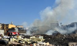 İzmir'de toplanmayan çöpleri ateşe veridiler!