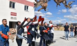 Afyonkarahisar'da 35 yabani kuş tedavilerinin ardından doğaya salındı
