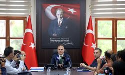 Köyceğiz ve Milas'taki yangınlarda 2 bin 403 hektar alan zarar gördü
