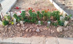 Uşak'ta duyarlı vatandaşlar, mezarlıklarda damla sulamayla tasarruf ediyor!